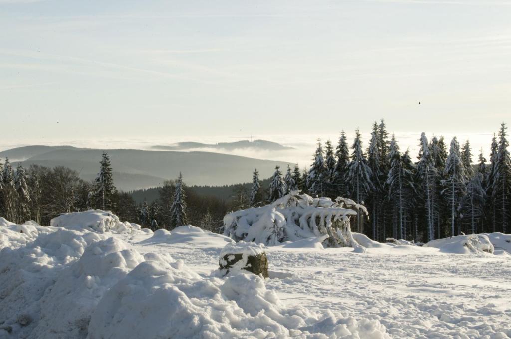 Hotel Hessenhof Winterberg Exterior photo